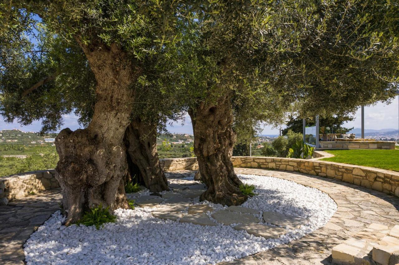 Olivenest Chania Executive Villa Perivolia  Luaran gambar